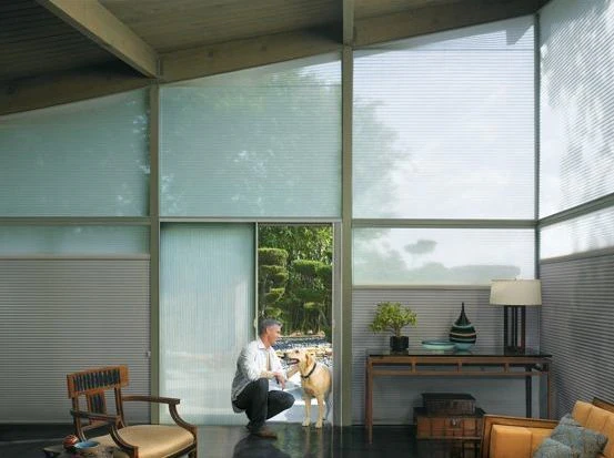 Motorized Blinds & Shades